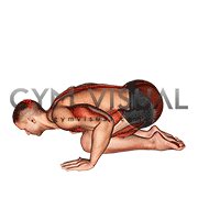 Push-up in Child Pose