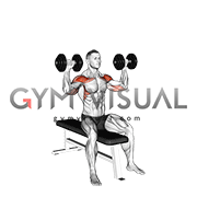 Dumbbell Bench Seated Press