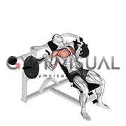 Lever Incline Chest Press (plate loaded)