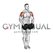 Dumbbell Standing Bent Arm Lateral raise (male)