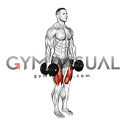 Dumbbell Narrow Stance Squat (male)