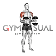 Dumbbell Bent Arm Laterl Raise (male)
