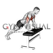 Incline Push-up (on bench) (male)