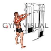 Cable Standing Face Pull (with rope)