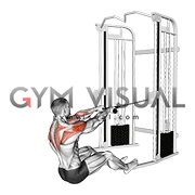 Cable Seated Face Pull with rope male