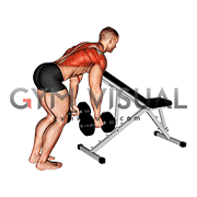 Dumbbell Bent Over Row with Chest Support