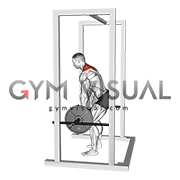 Barbell Power Shrug