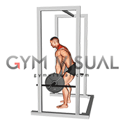Barbell Power Shrug