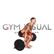Barbell Behind The Back Deadlift