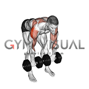 Dumbbell Bent Over Face Pull