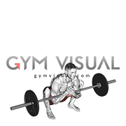 Barbell Zercher Deadlift