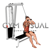 Cable Seated Crunch