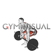 Barbell Pause Deadlift