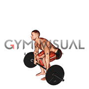 Barbell Pause Deadlift