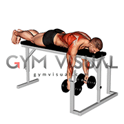 Dumbbell Lying Row on Rack