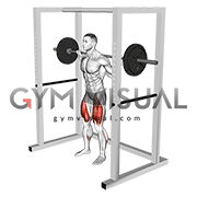 Barbell Pin Squat