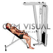 Cable Incline Biceps Curl