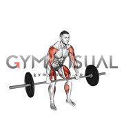 Barbell Hang Power Clean