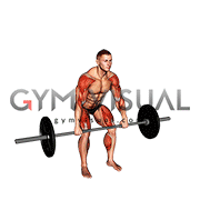 Barbell Hang Power Clean
