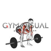 Barbell Clean High Pull