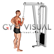 Cable Standing One Arm Triceps Extension