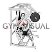 Lever One Arm Side Chest Press (male)