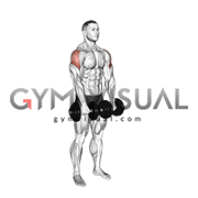 Dumbbell Empty Can Exercise (male)