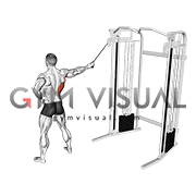 Single Arm Side Straight Arm Lat Pulldown (male)