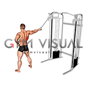 Single straight arm pulldown deals