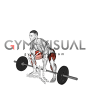 Barbell Weighted Chains Sumo Deadlift