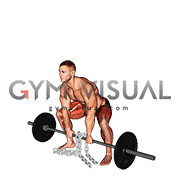 Barbell Weighted Chains Sumo Deadlift