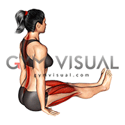 Forward Bend Stretch Gif
