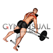 Barbell Incline Rear Delt Row