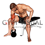 Kettlebell Concentration Curl