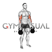Kettlebell Biceps Curl