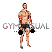 Kettlebell Biceps Curl