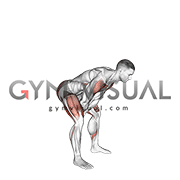Bodyweight Swing