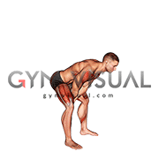 Bodyweight Swing