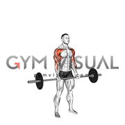 Barbell Curl Press Extension (male)