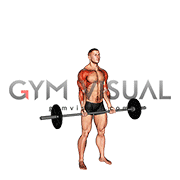 Barbell Curl Press Extension (male)
