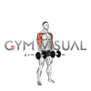 Dumbbell Curl Press Extension (male)