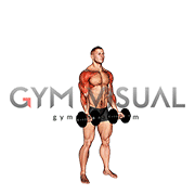 Dumbbell Curl Press Extension (male)