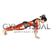 Chaturanga Pose (female)