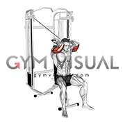 Cable Seated High Pulley Overhead Tricep Extension