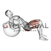 Lying Hip Lift (on stability ball) m (VERSION 2)