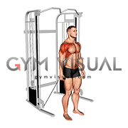 Cable Single Arm Neutral Grip Front Raise