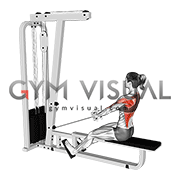 Cable Low Seated Row with V-bar (female)
