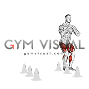 Royalty-free GIFs about anatomy of fitness and bodybuilding - Gym visual