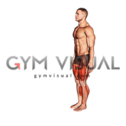 Heel to Toe Walk (male)