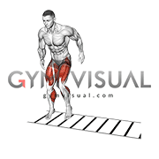 Lateral Ladder Drill (male)